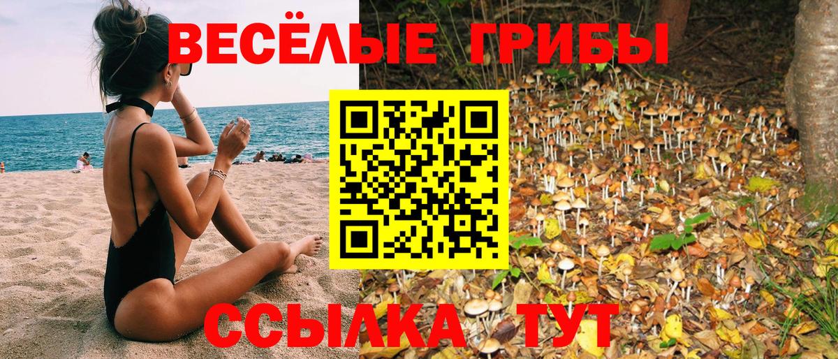 Галлюциногенные грибы Cubensis  Вход с VPN  Кунгур  Псилоцибиновые грибы GOLDEN TEACHER 